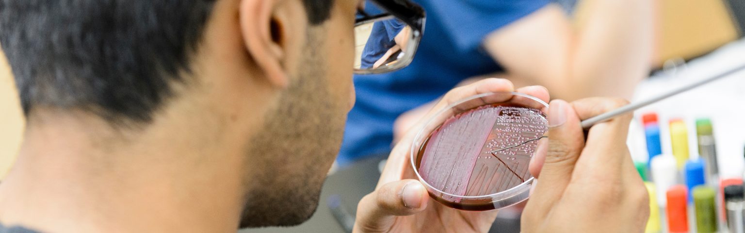 Microbiology Club – Microbiology Major Program – UW–Madison